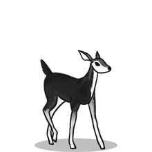 大数据分析的{固定网站名称23}